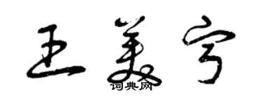 曾慶福王美寧草書個性簽名怎么寫