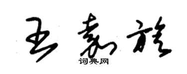 朱錫榮王嘉旋草書個性簽名怎么寫