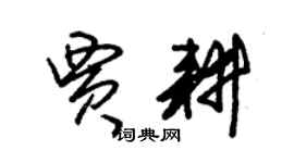 朱錫榮賈耕草書個性簽名怎么寫