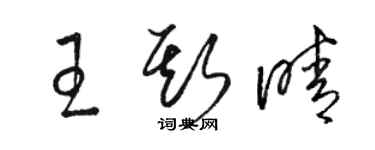 駱恆光王斯晴草書個性簽名怎么寫