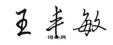 駱恆光王豐敏行書個性簽名怎么寫