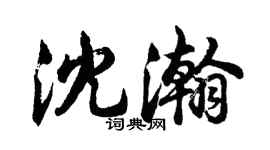 胡問遂沈瀚行書個性簽名怎么寫