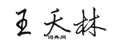 駱恆光王夭林行書個性簽名怎么寫