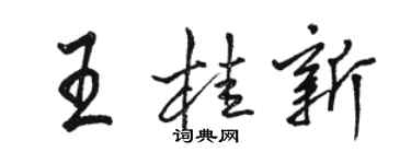駱恆光王桂新行書個性簽名怎么寫