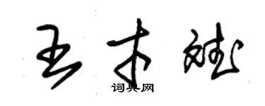 朱錫榮王才斌草書個性簽名怎么寫