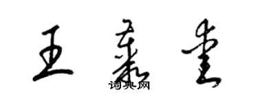 梁錦英王叢愛草書個性簽名怎么寫