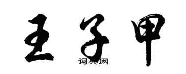 胡問遂王子甲行書個性簽名怎么寫