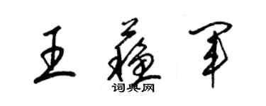 梁錦英王蘇軍草書個性簽名怎么寫