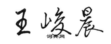 駱恆光王峻晨行書個性簽名怎么寫