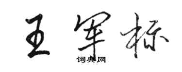 駱恆光王軍標行書個性簽名怎么寫