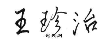 駱恆光王珍治行書個性簽名怎么寫