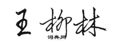 駱恆光王柳林行書個性簽名怎么寫