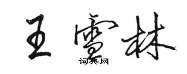 駱恆光王雪林行書個性簽名怎么寫