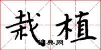 周炳元栽植楷書怎么寫