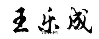 胡問遂王樂成行書個性簽名怎么寫