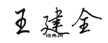 駱恆光王建全行書個性簽名怎么寫