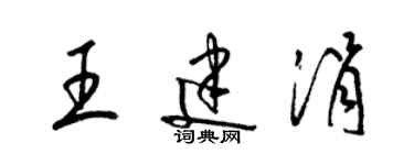 梁錦英王建涓草書個性簽名怎么寫