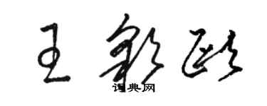 駱恆光王彩歐草書個性簽名怎么寫