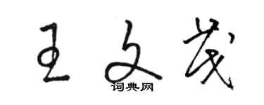 駱恆光王文茂草書個性簽名怎么寫