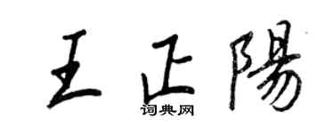 王正良王正陽行書個性簽名怎么寫