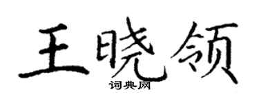 丁謙王曉領楷書個性簽名怎么寫