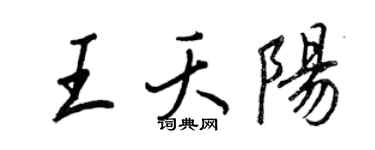 王正良王夭陽行書個性簽名怎么寫