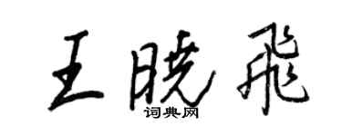 王正良王曉飛行書個性簽名怎么寫