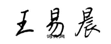 王正良王易晨行書個性簽名怎么寫