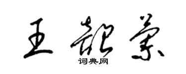 梁錦英王韶蘭草書個性簽名怎么寫