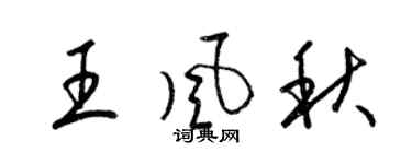 梁錦英王風秋草書個性簽名怎么寫