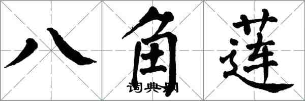 翁闓運八角蓮楷書怎么寫