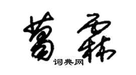 朱錫榮葛霖草書個性簽名怎么寫