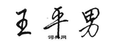 駱恆光王平男行書個性簽名怎么寫