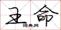 龐中華王命行書怎么寫