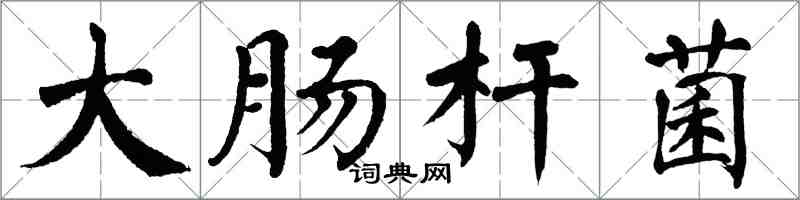 翁闓運大腸桿菌楷書怎么寫