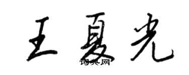 王正良王夏光行書個性簽名怎么寫