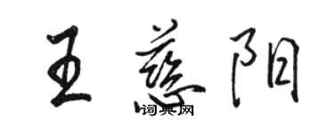 駱恆光王慈陽行書個性簽名怎么寫