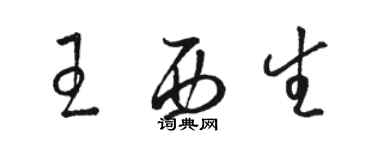 駱恆光王西生草書個性簽名怎么寫