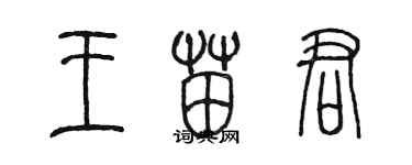 陳墨王苗君篆書個性簽名怎么寫