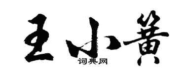 胡問遂王小簧行書個性簽名怎么寫