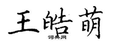 丁謙王皓萌楷書個性簽名怎么寫