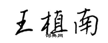 王正良王植南行書個性簽名怎么寫