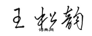 駱恆光王松韻草書個性簽名怎么寫