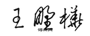 駱恆光王野樺草書個性簽名怎么寫