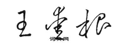 駱恆光王愛根草書個性簽名怎么寫