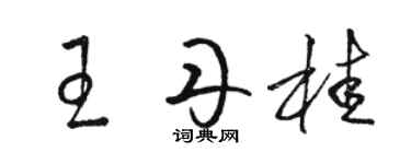 駱恆光王丹桂草書個性簽名怎么寫
