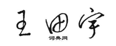 駱恆光王田宇草書個性簽名怎么寫