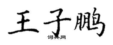 丁謙王子鵬楷書個性簽名怎么寫