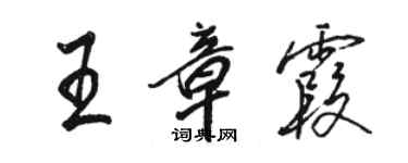 駱恆光王章霞行書個性簽名怎么寫