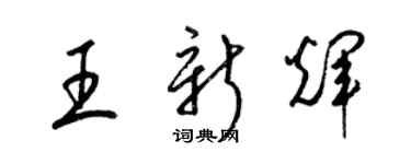 梁錦英王新輝草書個性簽名怎么寫